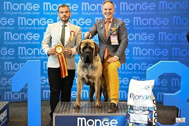 Brullemail - FRJ-INTJ UPTOWN BOY BRULLEMAIL