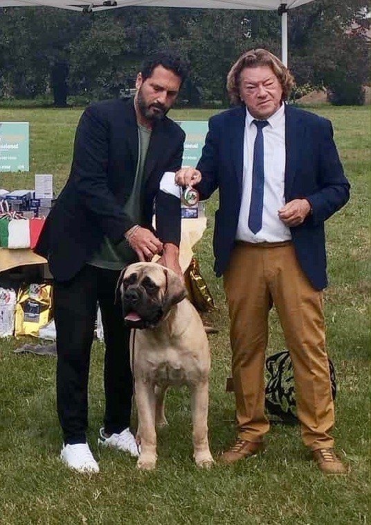 Brullemail - VICTORIA SPONGE BRULLEMAIL