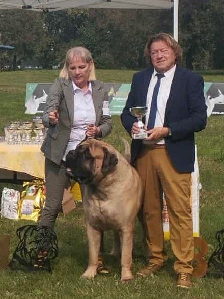 Brullemail - BIS-IT CH UNFORGETTABLE BRULLEMAIL