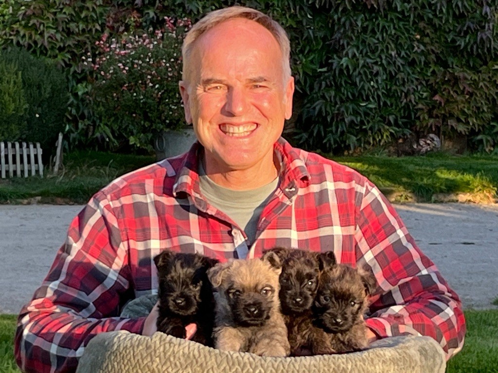 Chiot Cairn Terrier Brullemail